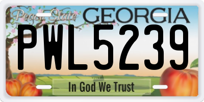 GA license plate PWL5239