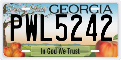 GA license plate PWL5242