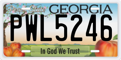 GA license plate PWL5246