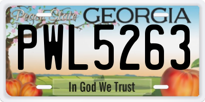 GA license plate PWL5263
