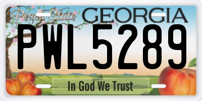 GA license plate PWL5289