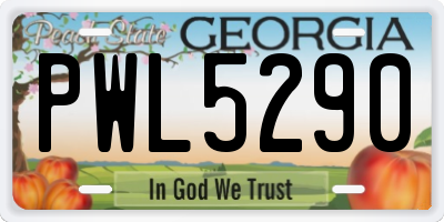 GA license plate PWL5290