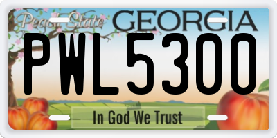 GA license plate PWL5300