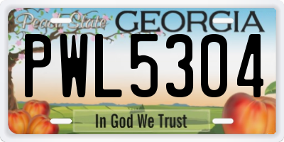 GA license plate PWL5304