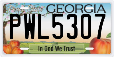 GA license plate PWL5307