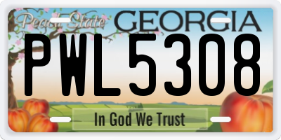 GA license plate PWL5308