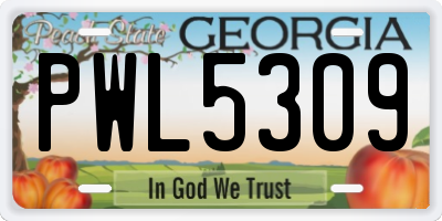 GA license plate PWL5309