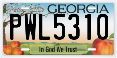GA license plate PWL5310