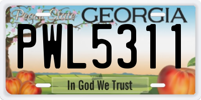 GA license plate PWL5311