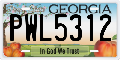 GA license plate PWL5312