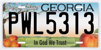 GA license plate PWL5313