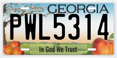GA license plate PWL5314