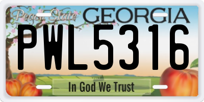 GA license plate PWL5316