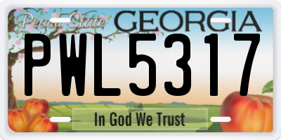 GA license plate PWL5317