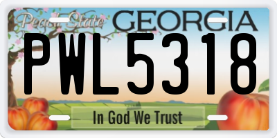 GA license plate PWL5318