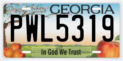 GA license plate PWL5319