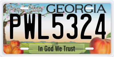 GA license plate PWL5324