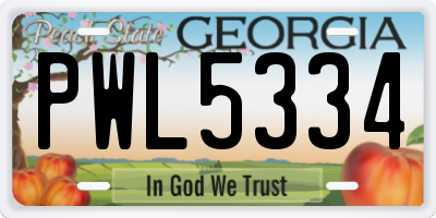 GA license plate PWL5334