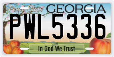 GA license plate PWL5336