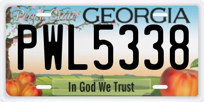 GA license plate PWL5338