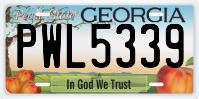 GA license plate PWL5339