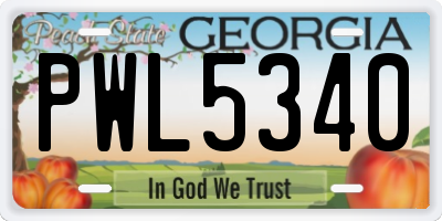 GA license plate PWL5340