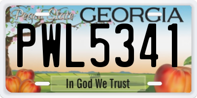 GA license plate PWL5341