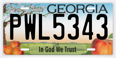 GA license plate PWL5343