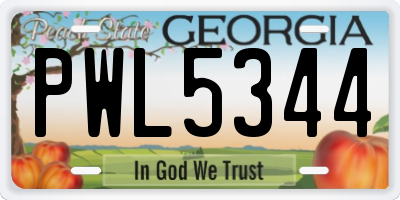 GA license plate PWL5344