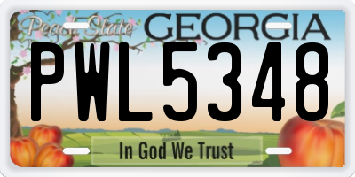 GA license plate PWL5348