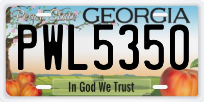 GA license plate PWL5350