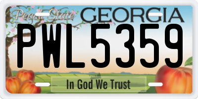 GA license plate PWL5359