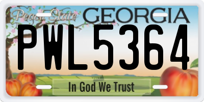 GA license plate PWL5364