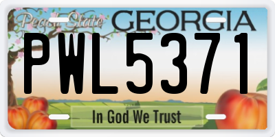 GA license plate PWL5371