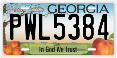 GA license plate PWL5384