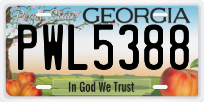 GA license plate PWL5388
