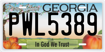 GA license plate PWL5389
