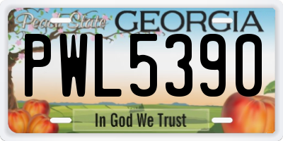 GA license plate PWL5390