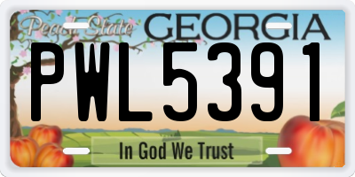 GA license plate PWL5391