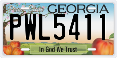 GA license plate PWL5411