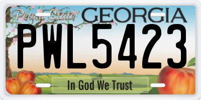 GA license plate PWL5423