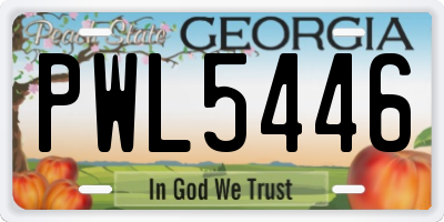 GA license plate PWL5446