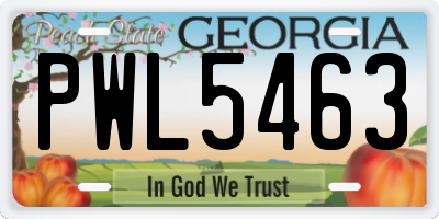 GA license plate PWL5463