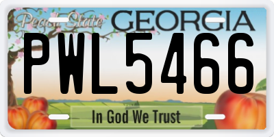 GA license plate PWL5466