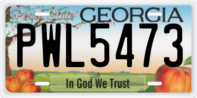 GA license plate PWL5473
