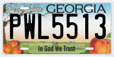 GA license plate PWL5513