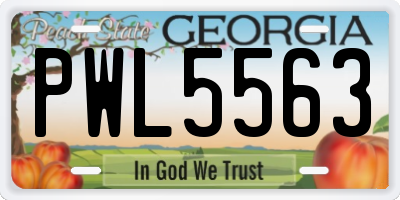GA license plate PWL5563