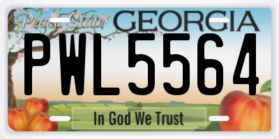 GA license plate PWL5564
