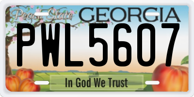 GA license plate PWL5607