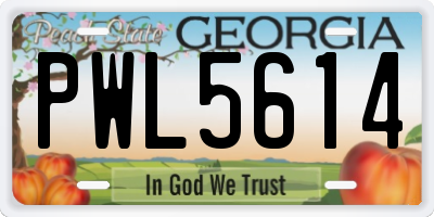 GA license plate PWL5614